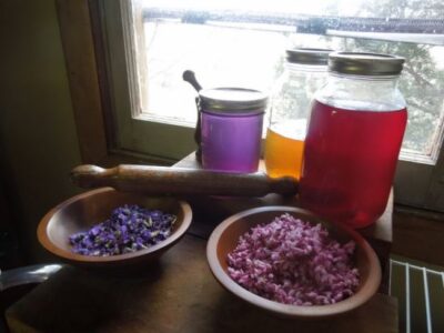 Flower Essence Jellies Image